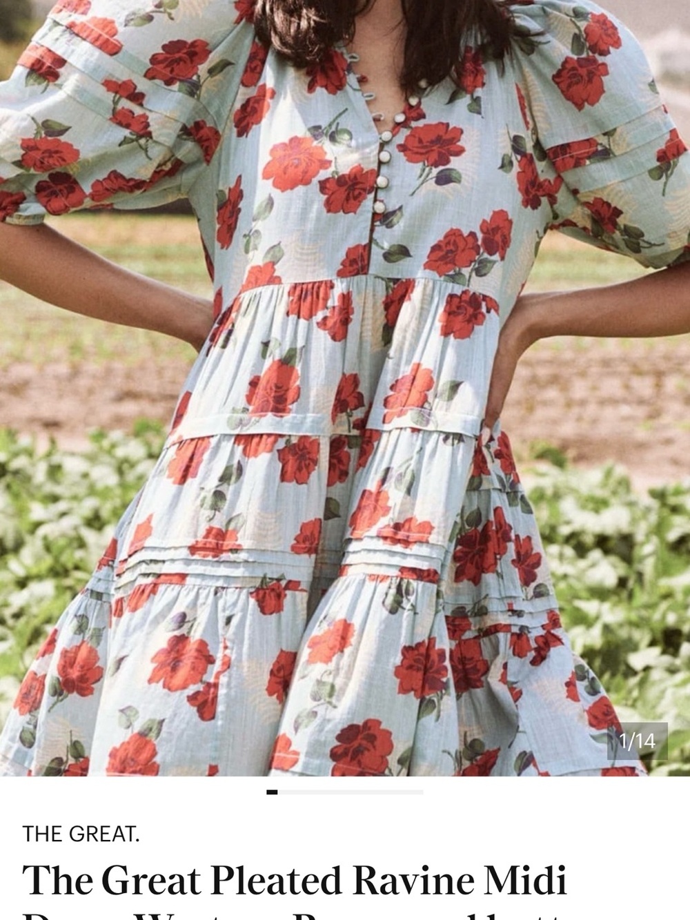 THE GREAT. Light Blue Maxi Dress with Red Floral Print